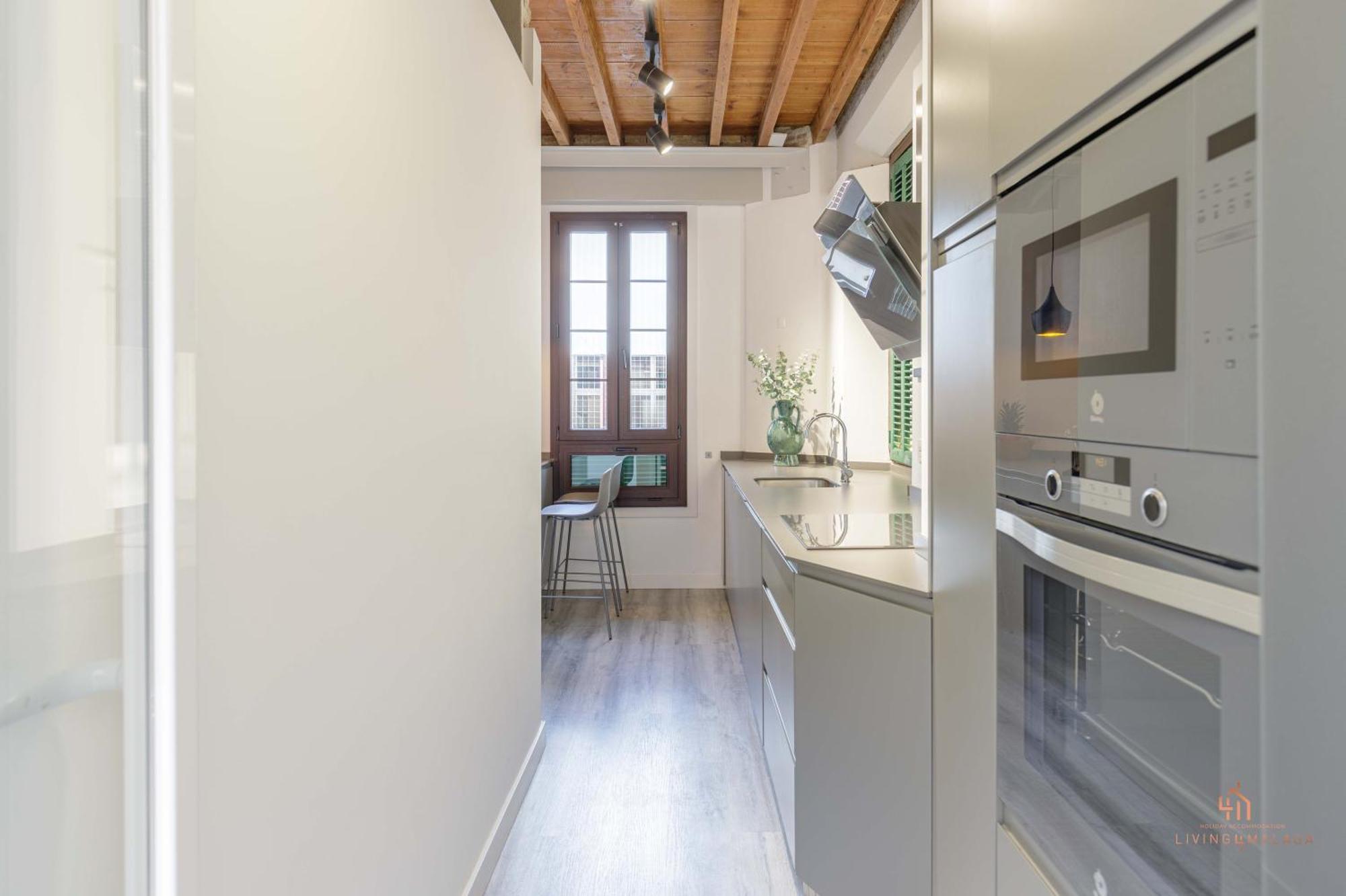 Apartment Living4malaga Shining Beetle *
